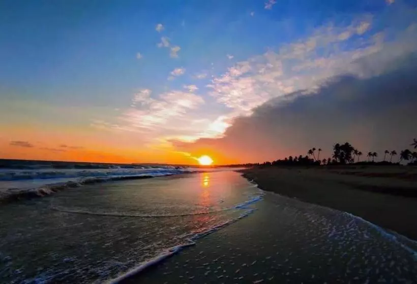 ペンション Eco Cabanas Marakolliya