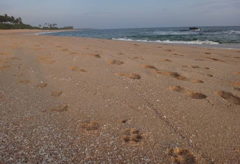 ペンション Eco Cabanas Marakolliya