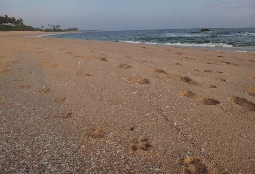 ペンション Eco Cabanas Marakolliya