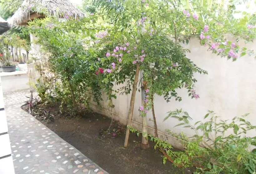 ペンション Sari Laut