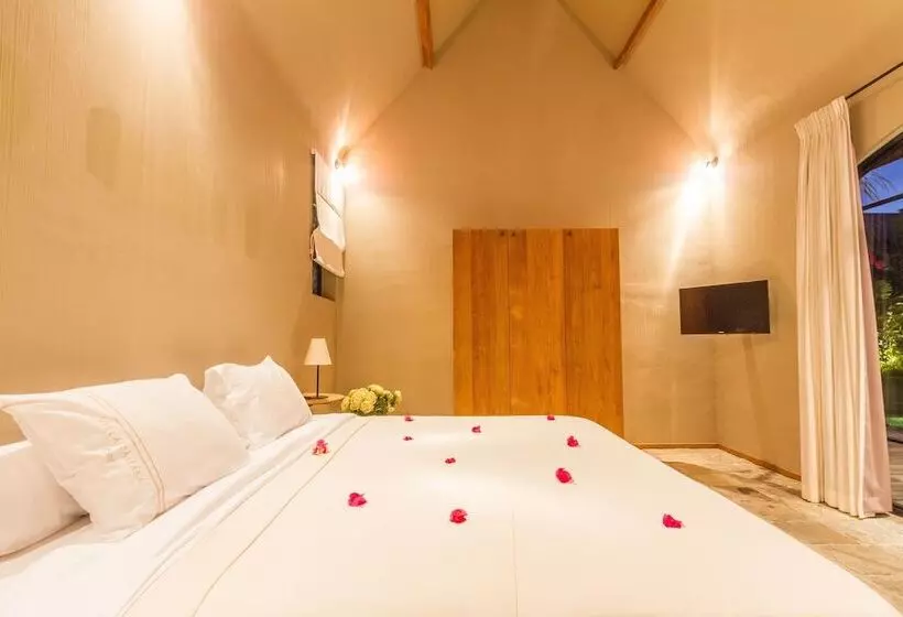 Villa Nehal   Luxury 5br Villa With 20m Pool