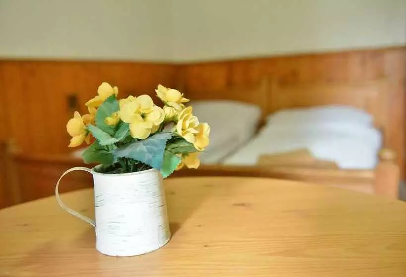 Aamiaismajoitus (B&B) Penzion U Hrocha