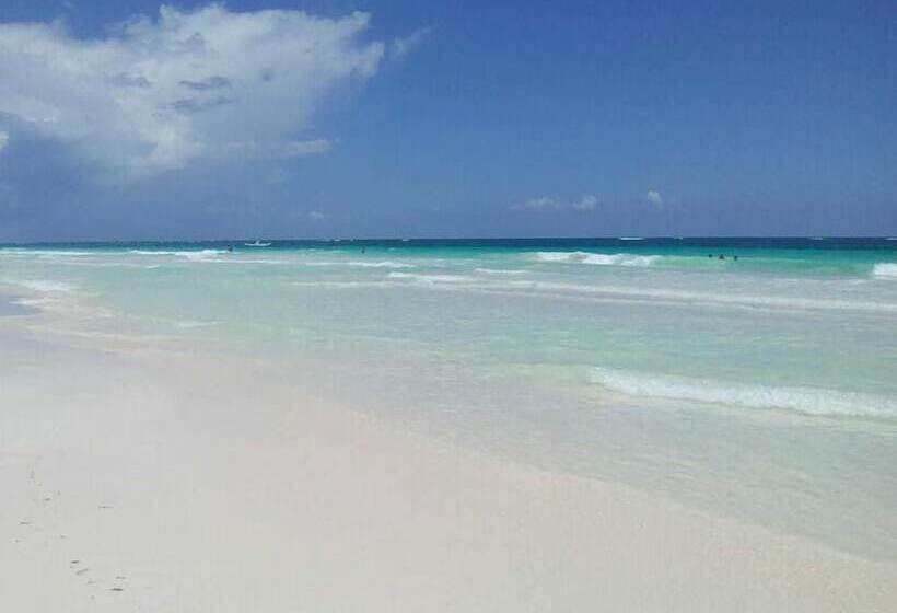 호텔 Casa Almendro