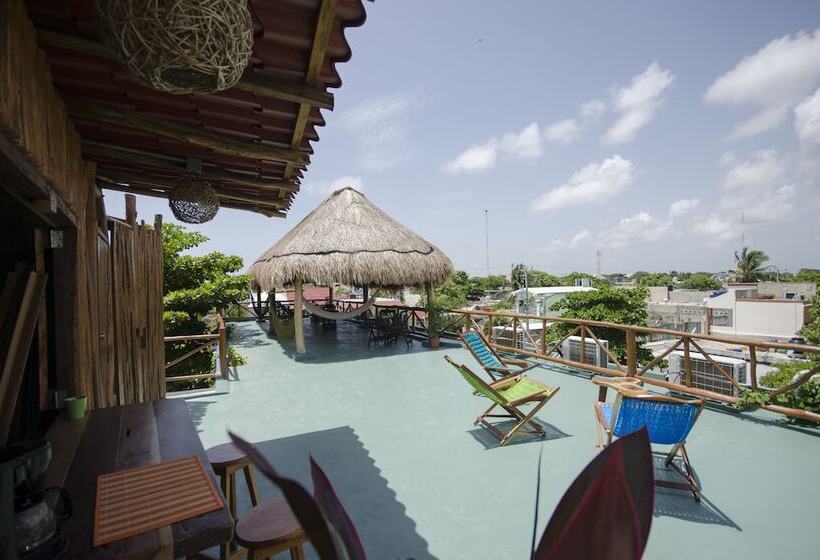 호텔 Casa Almendro