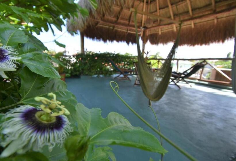 호텔 Casa Almendro