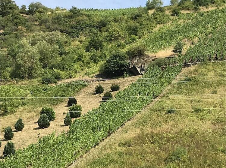 بنسيون Zur Fledermaus