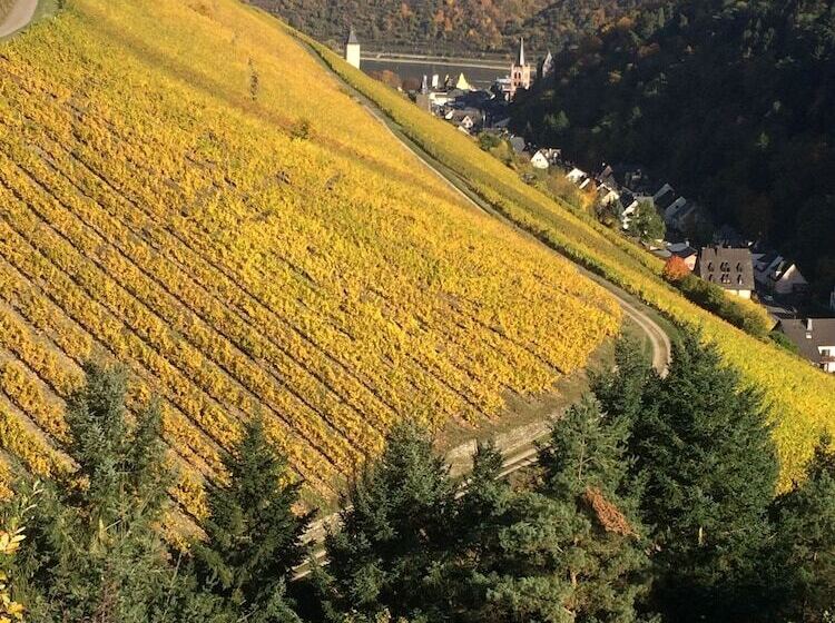 بنسيون Zur Fledermaus