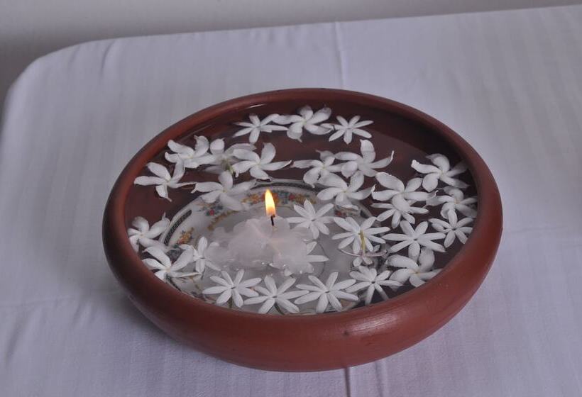 Pension (Hôtel basse catégorie) The Rock Bunglow