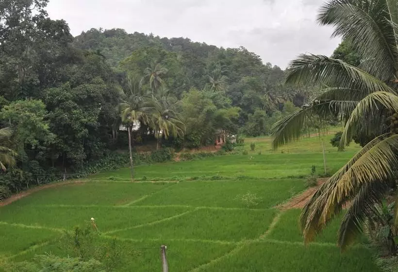 Majatalo The Rock Bunglow