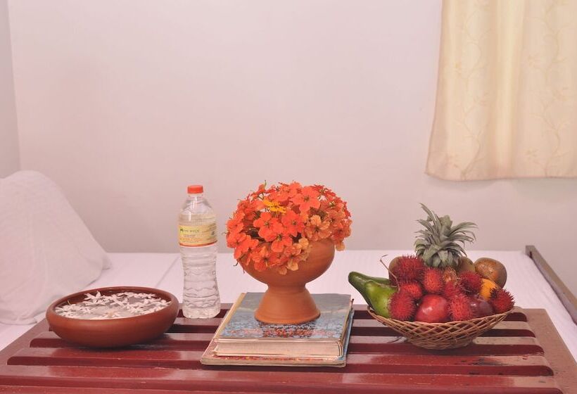 Pension (Hôtel basse catégorie) The Rock Bunglow