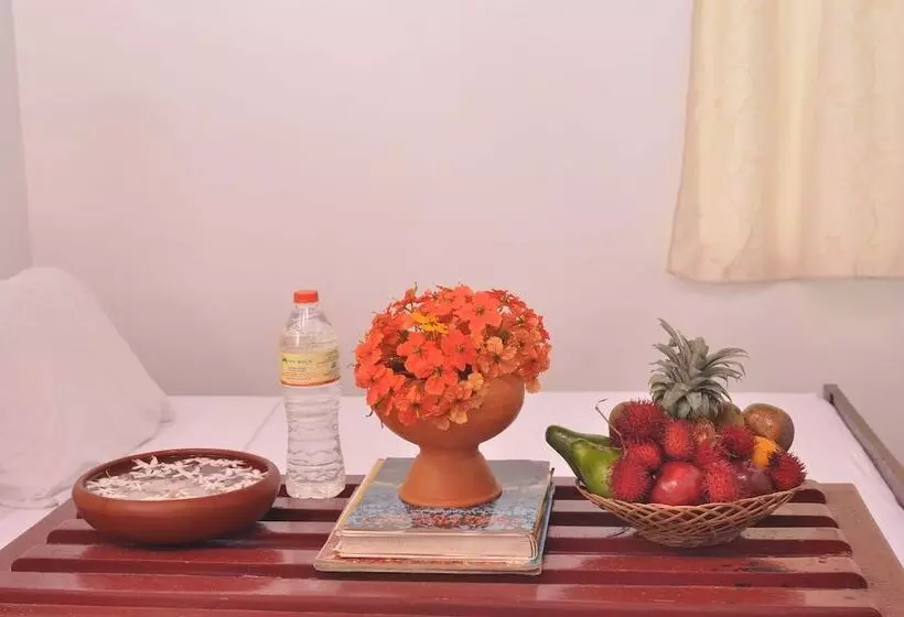 Majatalo The Rock Bunglow