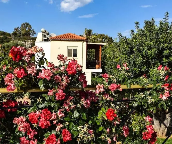 Villa Swans Nest