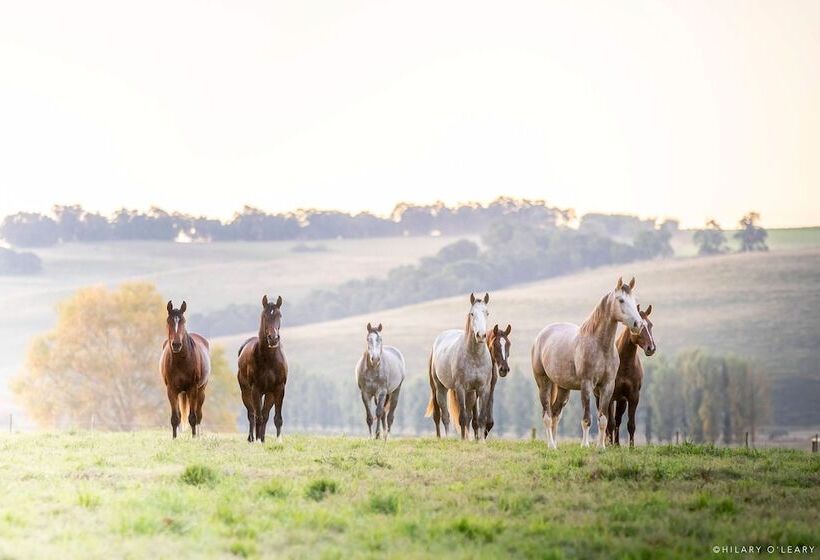 فندق Hartford House