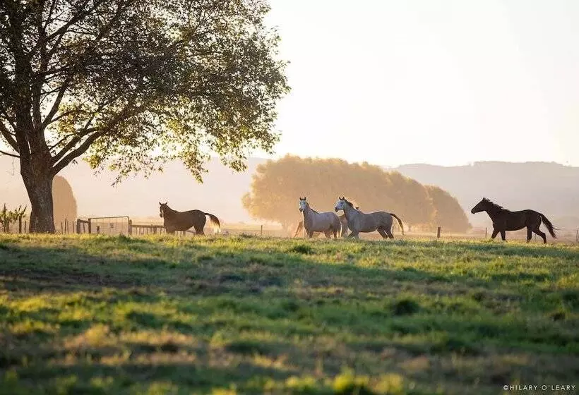 ホテル Hartford House