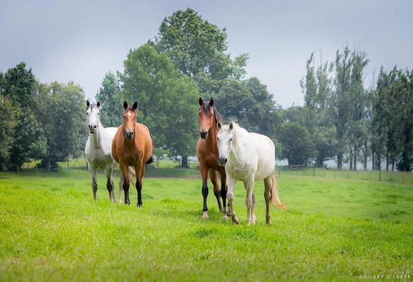 فندق Hartford House