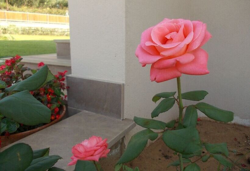 Villa Lauro Luxury B&b