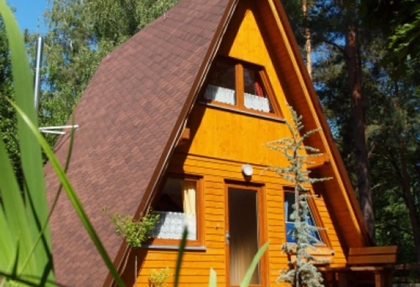 膳宿费 Bummeltime