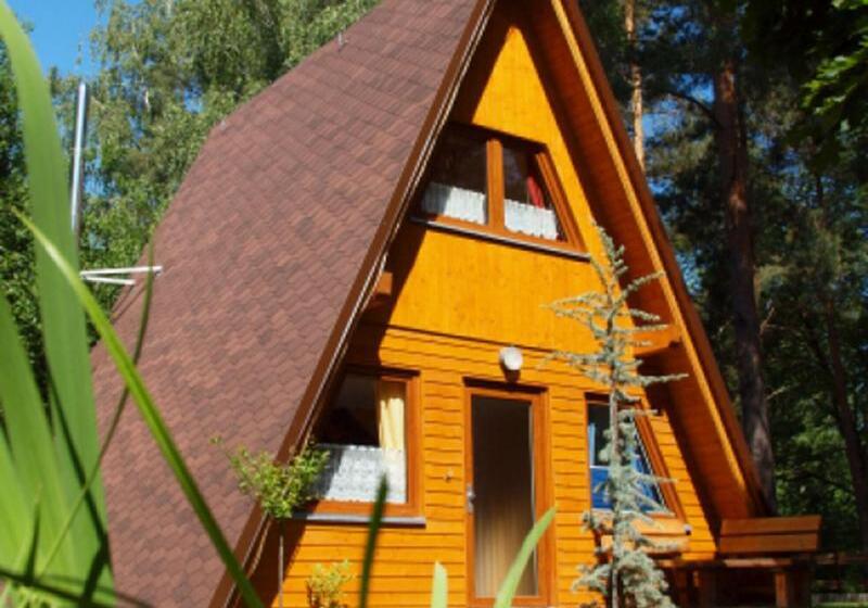 膳宿费 Bummeltime