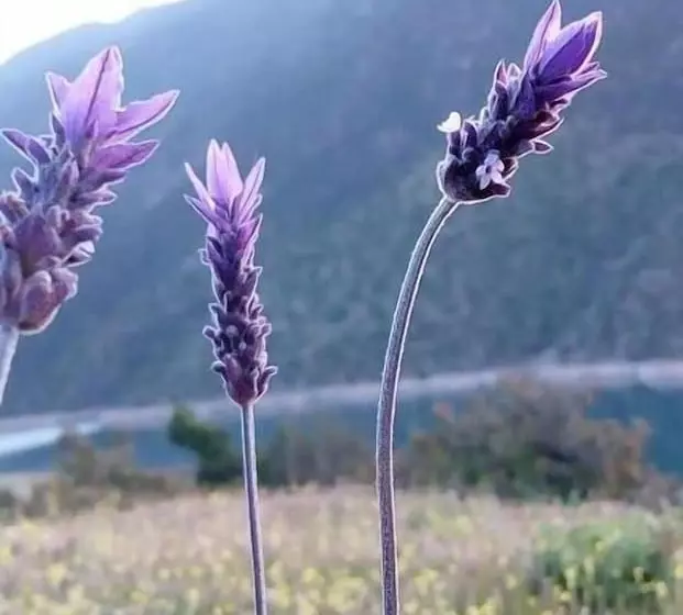 Majatalo Gite Du Lac