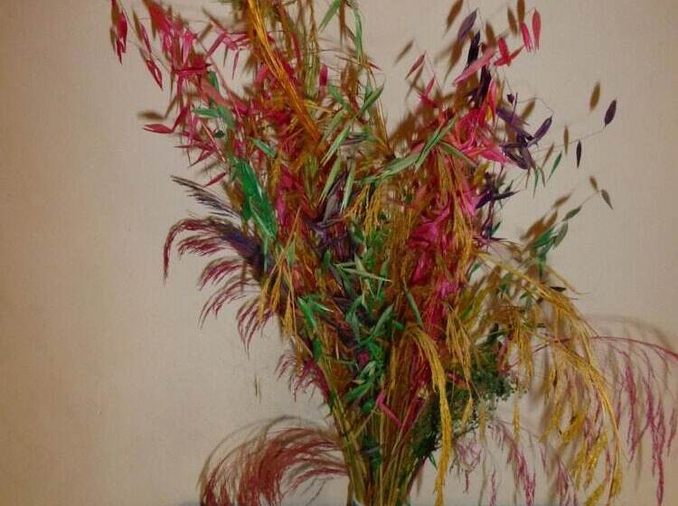 Pension (Hôtel basse catégorie) Gite Du Lac