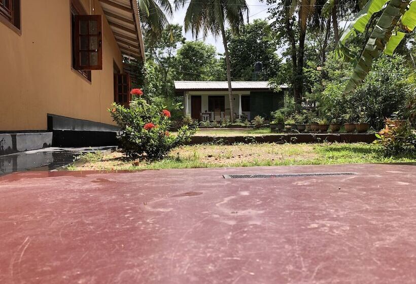 بنسيون Nature Lodge