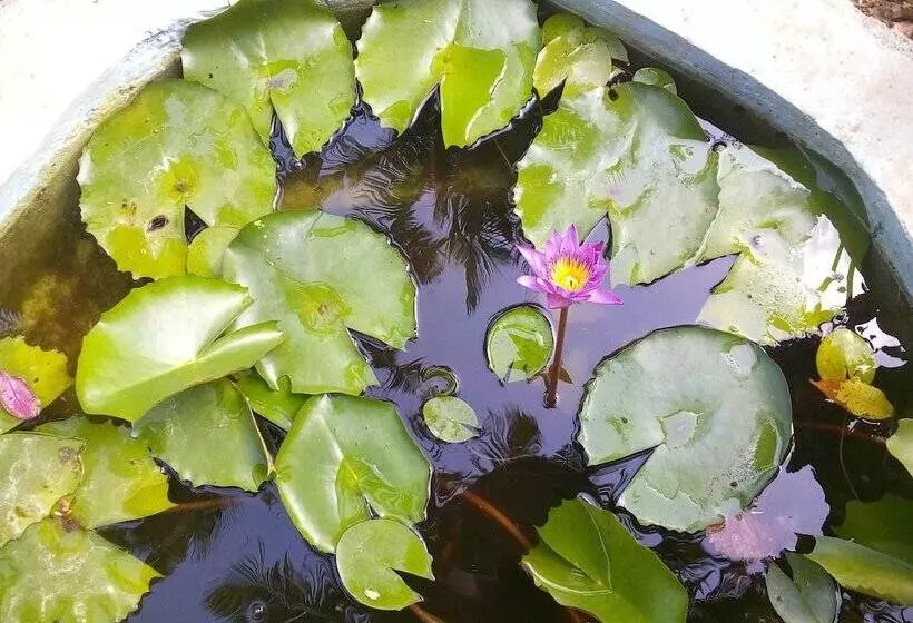 ペンション Nature Lodge