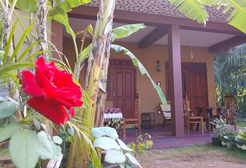 بنسيون Nature Lodge