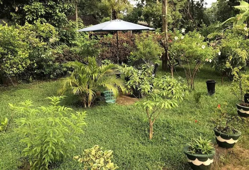 ペンション Nature Lodge