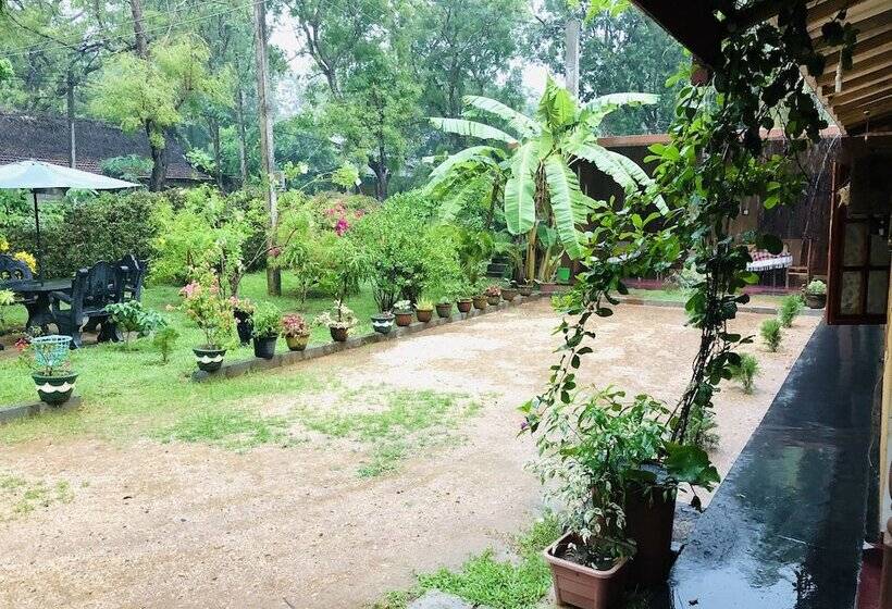 بنسيون Nature Lodge