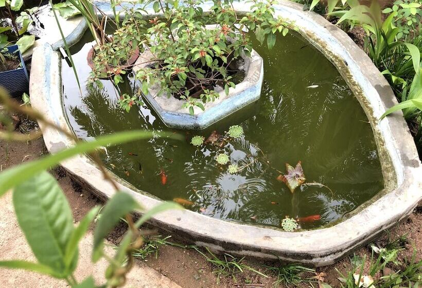 بنسيون Nature Lodge