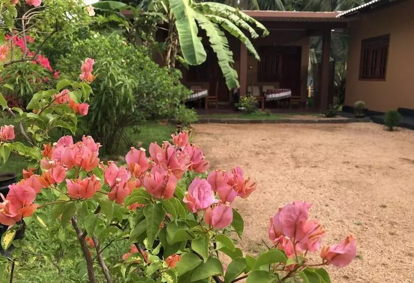 ペンション Nature Lodge