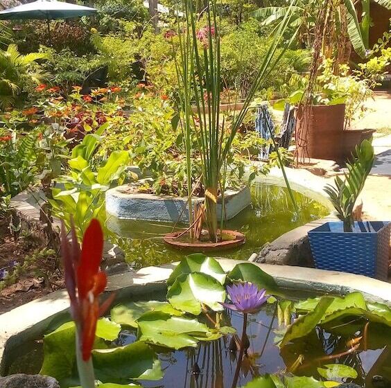 بنسيون Nature Lodge