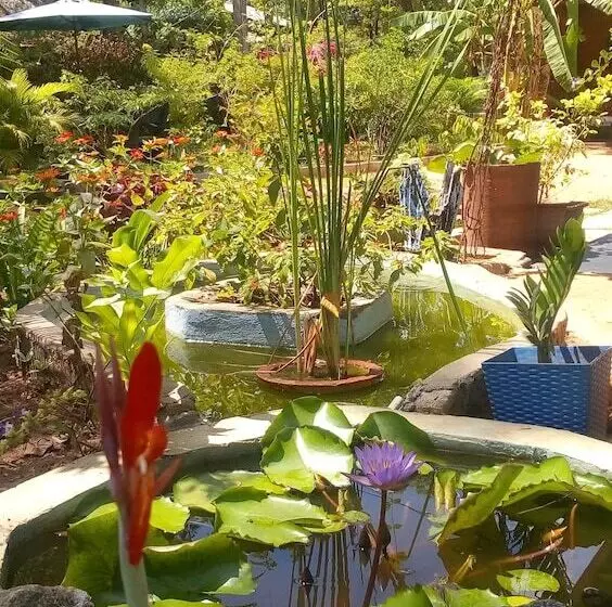 ペンション Nature Lodge