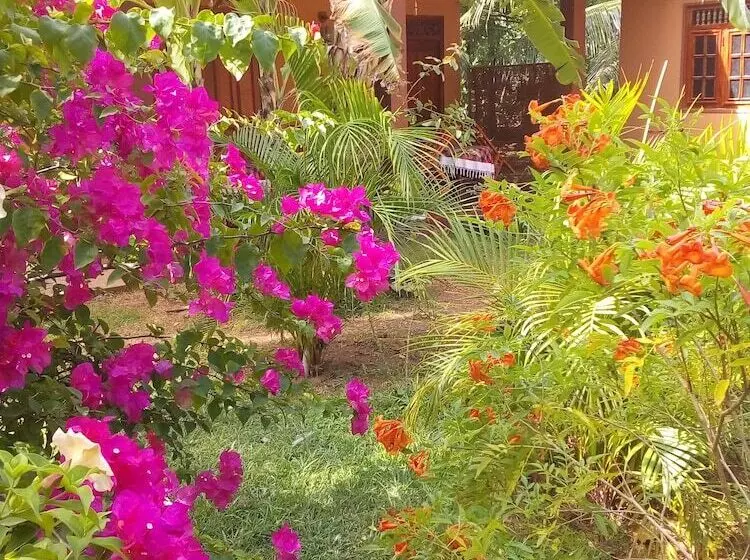 ペンション Nature Lodge