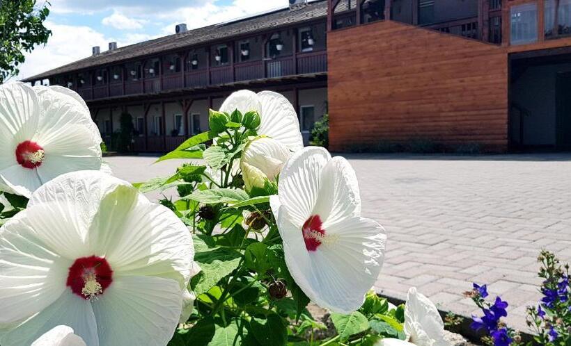 Sweet Life Wellness Apartments