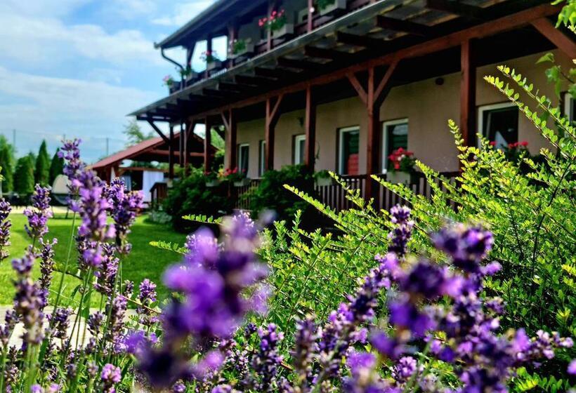 Sweet Life Wellness Apartments