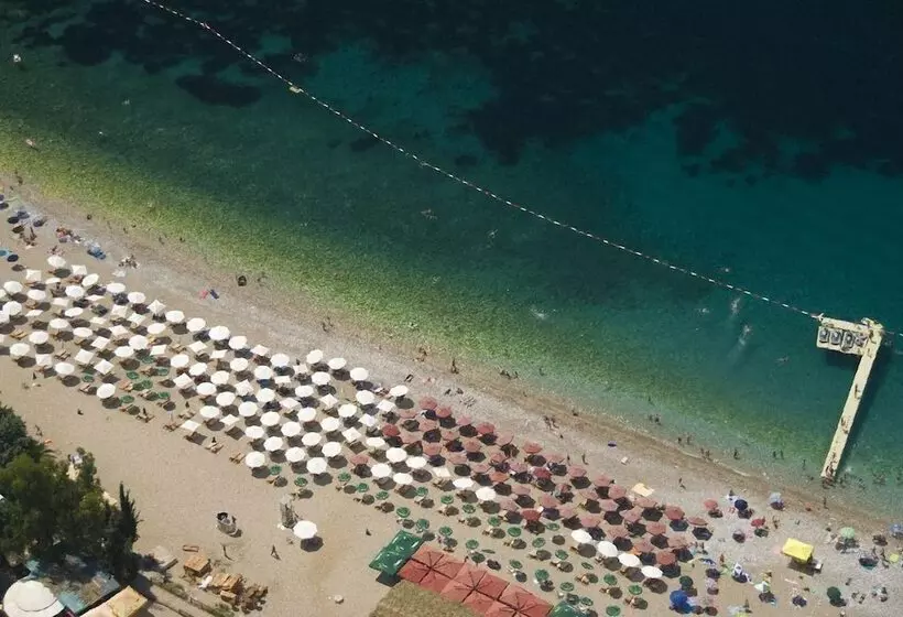 Almare Apartments  Budva