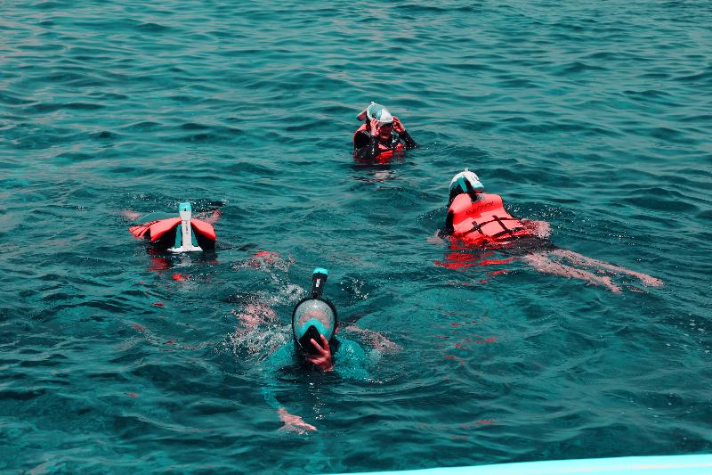 Отель Altamare Dive And Leisure Resort Anilao