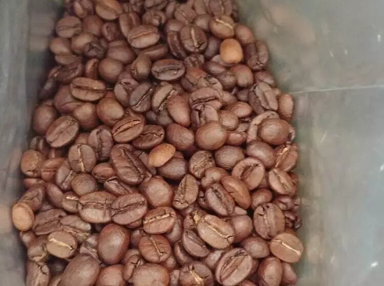 هتل Aarya Chaitya Inn