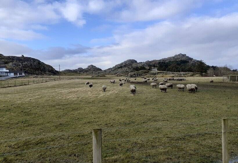 فندق Skudenes Camping