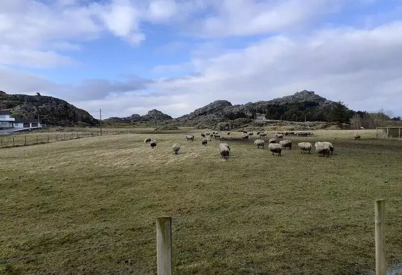 Hotelli Skudenes Camping