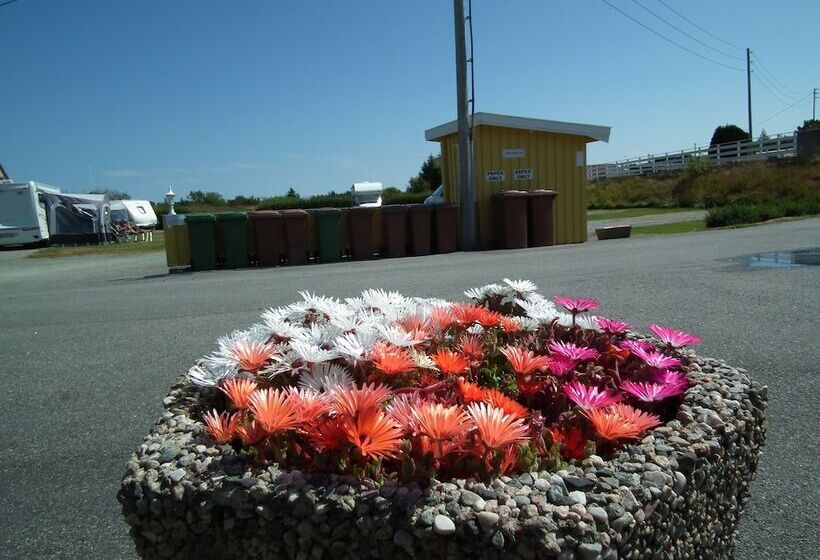 فندق Skudenes Camping