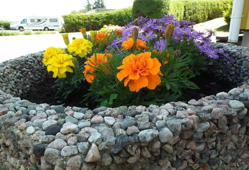 Hotelli Skudenes Camping