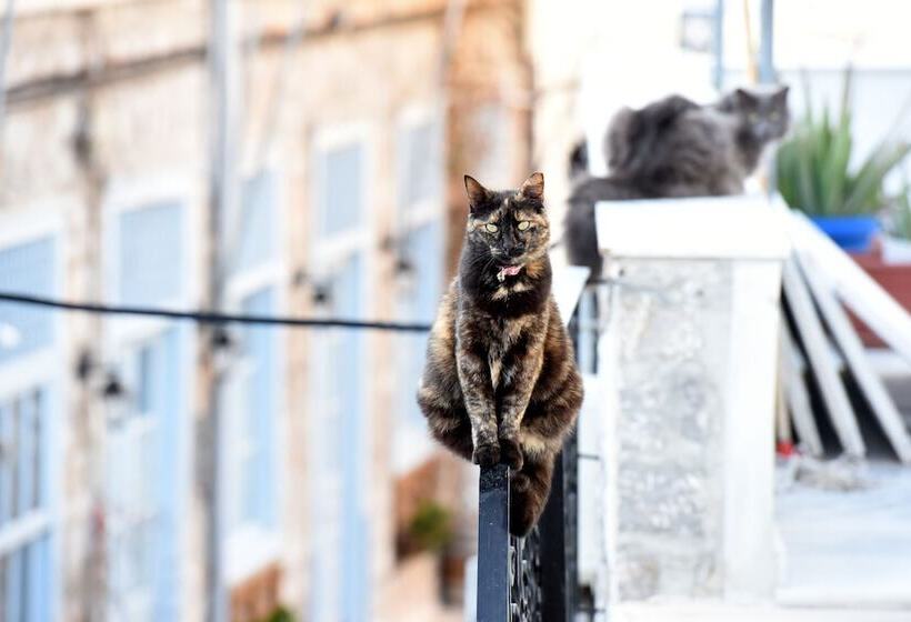 Hydra S Pearl   White Pearl