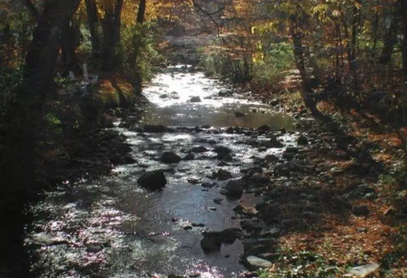 Отель The 1896 House Country Inn   Brookside & Pondside