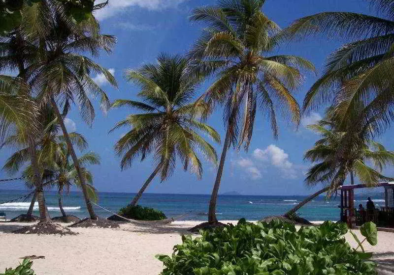 Hibiscus Beach Hotel