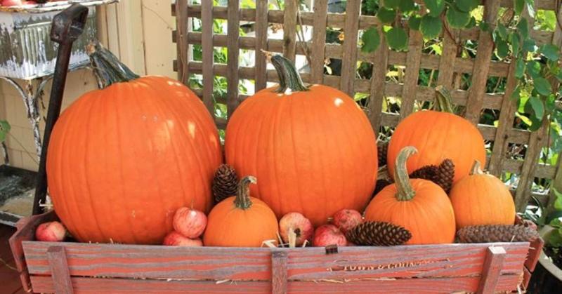 Szálloda 1802 House Bed And Breakfast