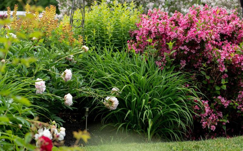 Szálloda 1802 House Bed And Breakfast