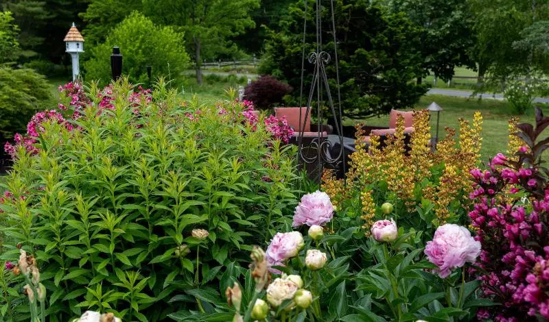 ホテル 1802 House Bed And Breakfast