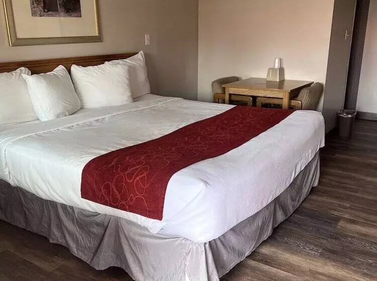 Hotell Adobe Inn Durango